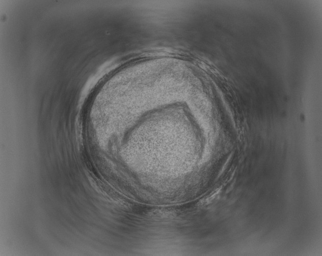 X0000073950343200609181406