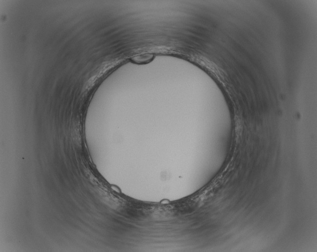 X0000073950345200609181407