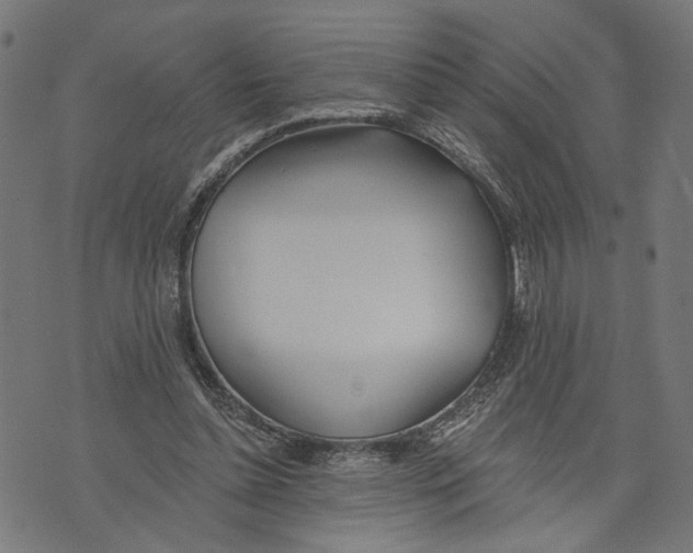 X0000073950348200609181407