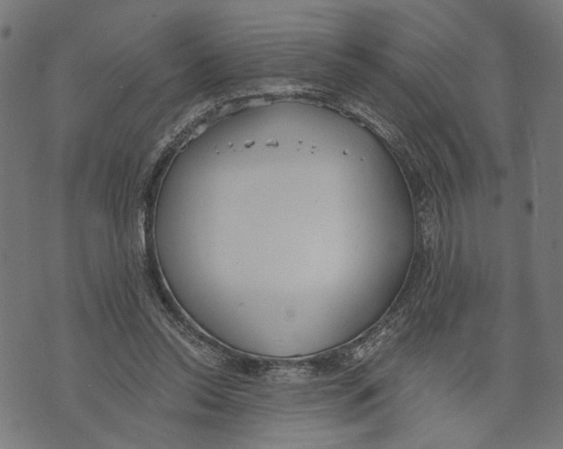 X0000073950350200609181407