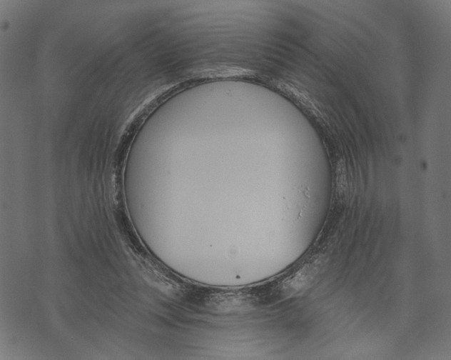 X0000073950351200609181407