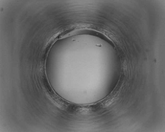 X0000073950352200609181407