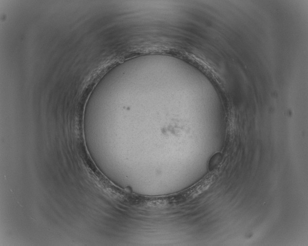 X0000073950353200609181407