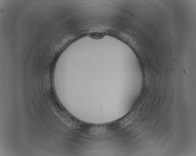 X0000073950354200609181407