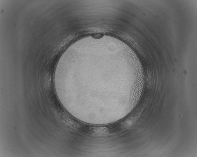 X0000073950355200609181407