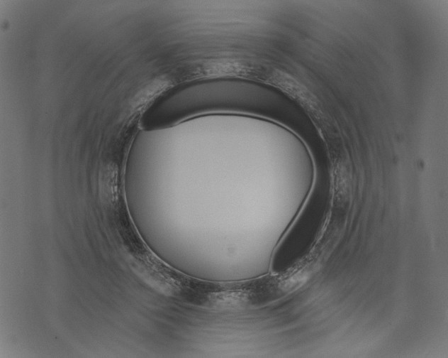 X0000073950356200609181407