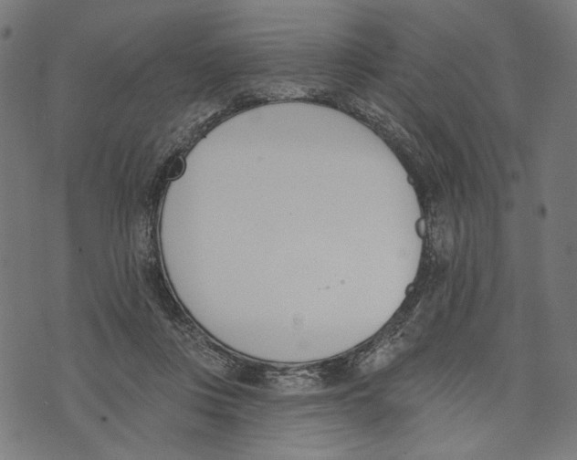 X0000073950359200609181407