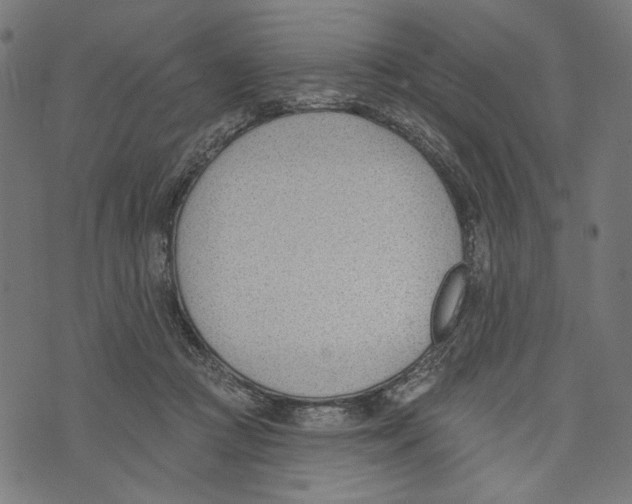 X0000073950361200609181407