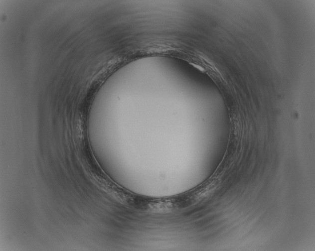 X0000073950362200609181407