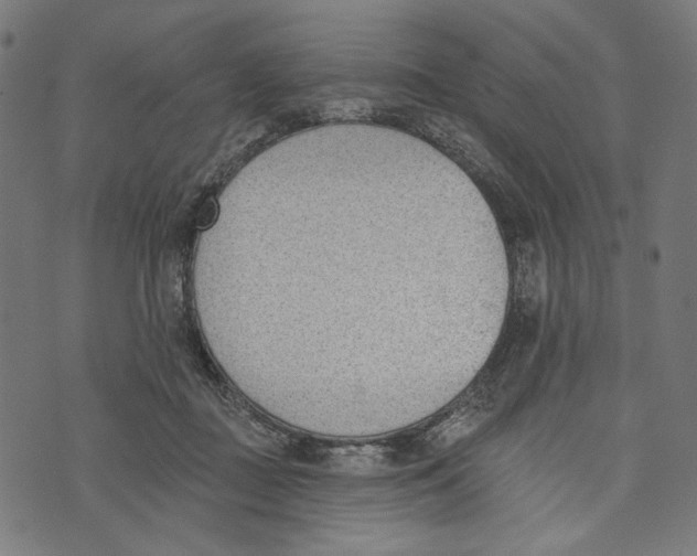 X0000073950363200609181407