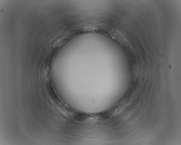 X0000073950364200609181407