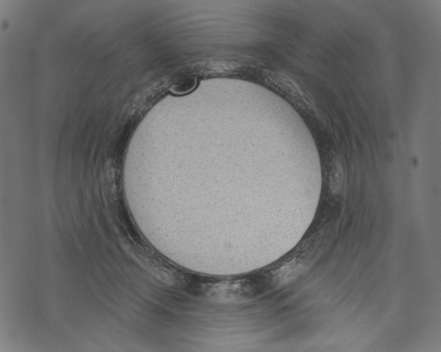 X0000073950366200609181407