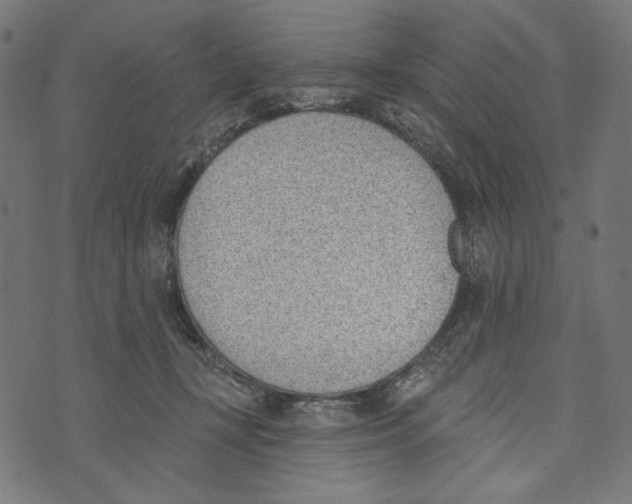 X0000073950367200609181407