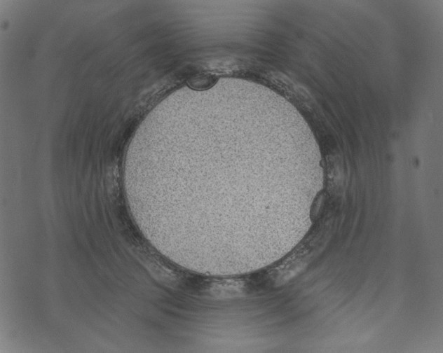 X0000073950369200609181407