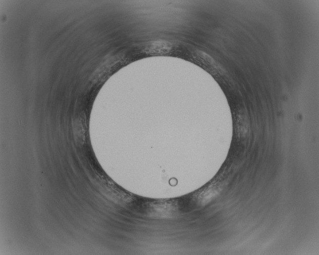 X0000073950370200609181407