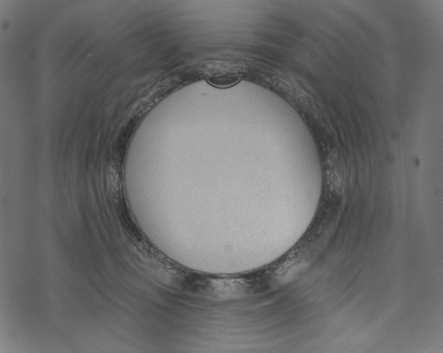 X0000073950371200609181407