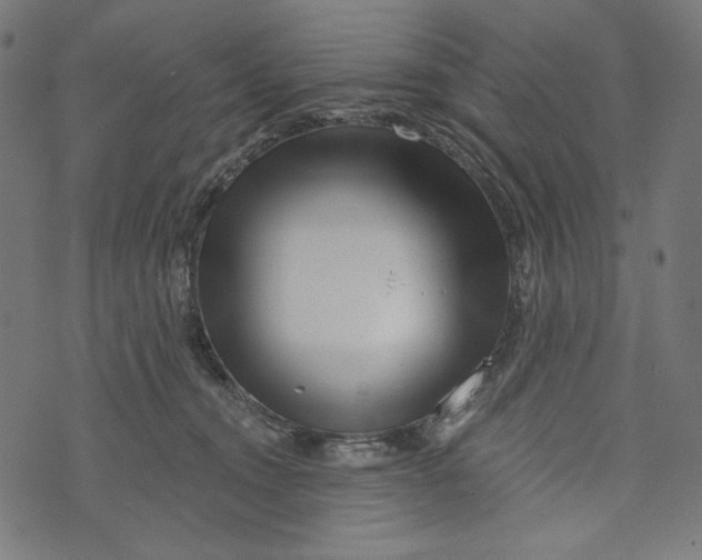 X0000073950372200609181407