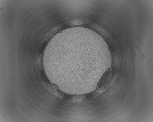 X0000073950373200609181407