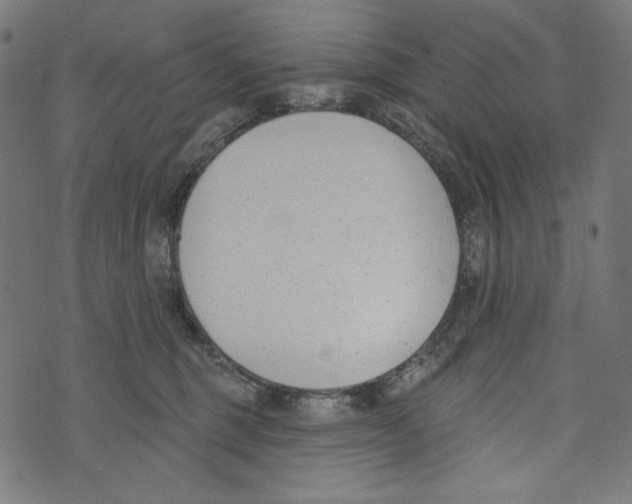 X0000073950375200609181407