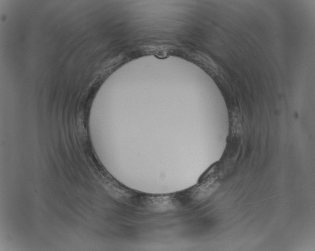 X0000073950377200609181407