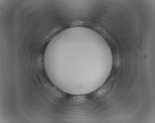 X0000073950378200609181407