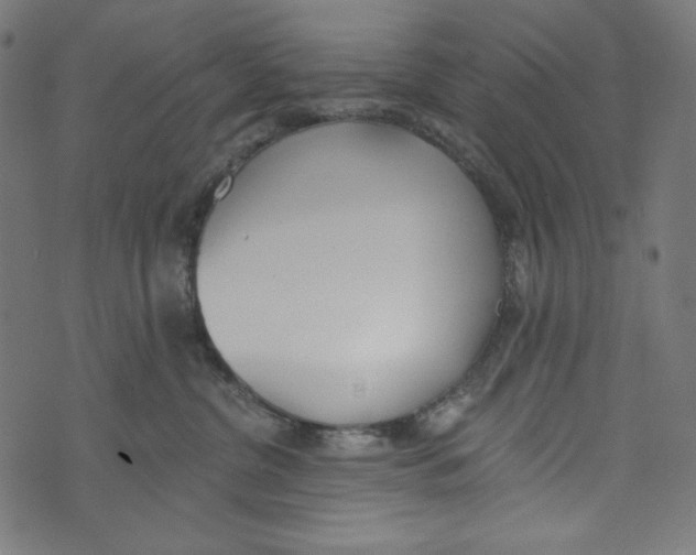 X0000073950380200609181407