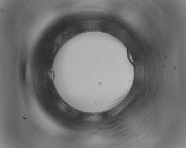 X0000073950383200609181407