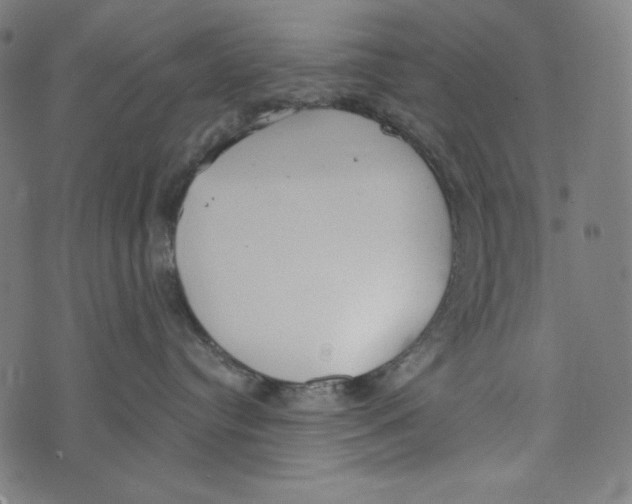 X0000073950384200609181407