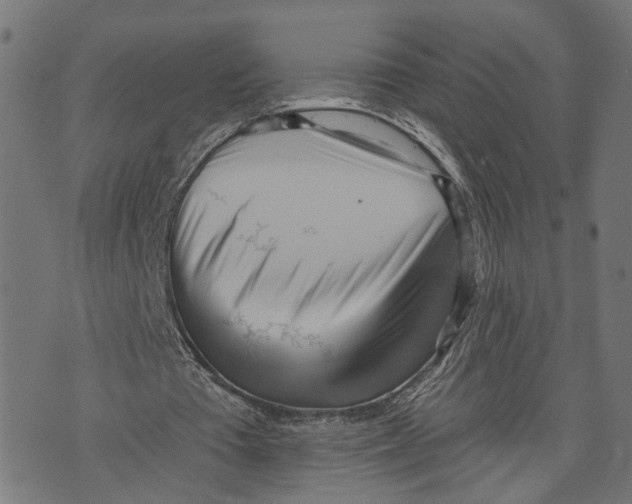 X0000073950385200609181406