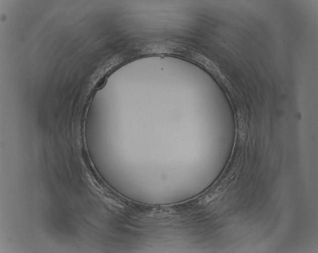 X0000073950386200609181406