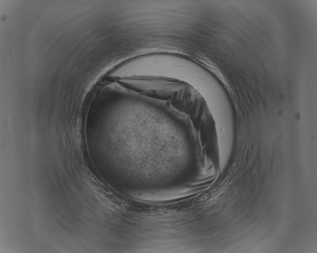 X0000073950387200609181406