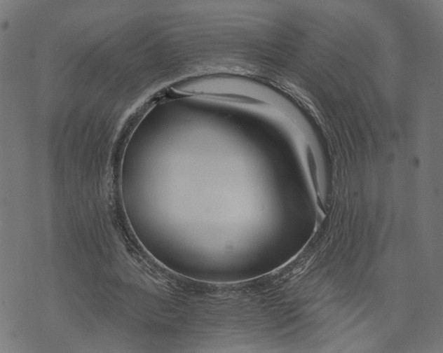 X0000073950388200609181406