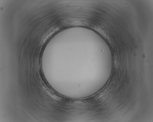 X0000073950390200609181406