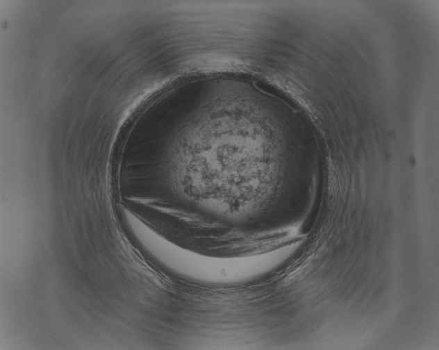 X0000073950391200609181406