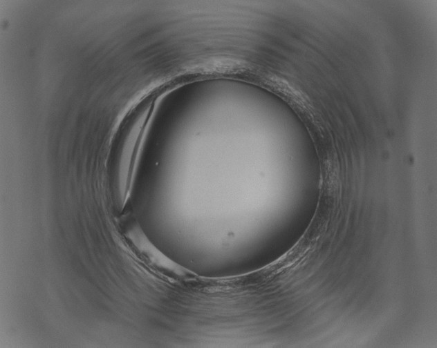 X0000073950392200609181406