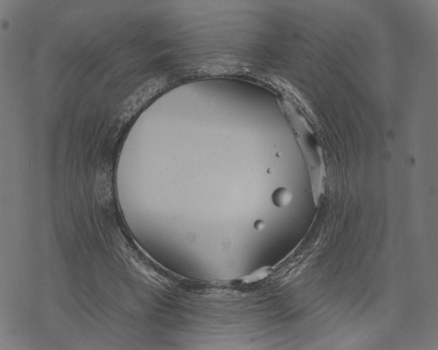 X0000073950393200609181406