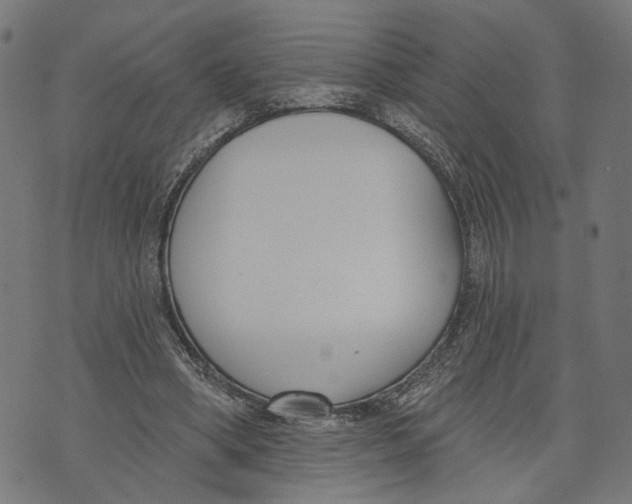 X0000073950394200609181406