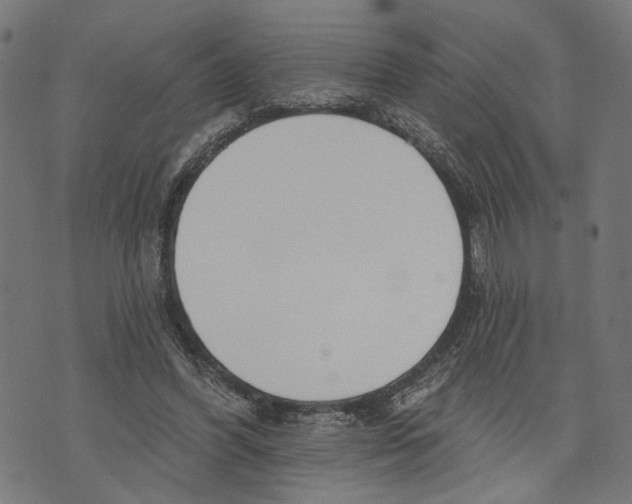 X0000073950396200609181406