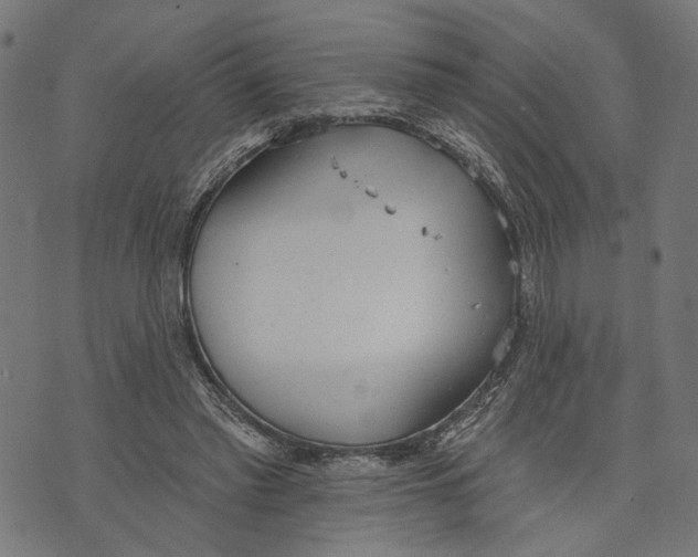 X0000073950397200609181406