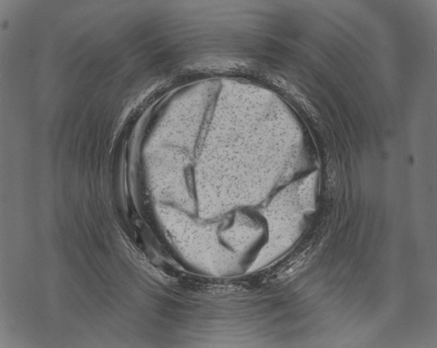 X0000073950399200609181406