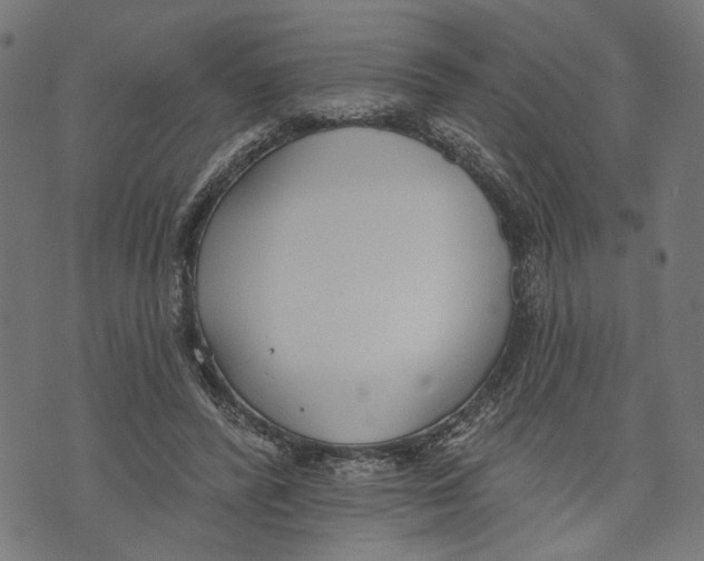 X0000073950400200609181406