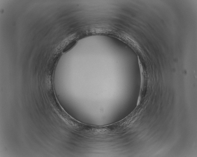 X0000073950401200609181406