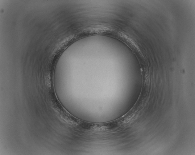 X0000073950403200609181406