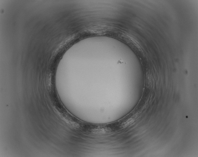 X0000073950404200609181406