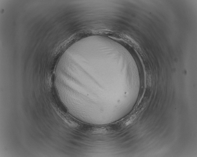 X0000073950405200609181406