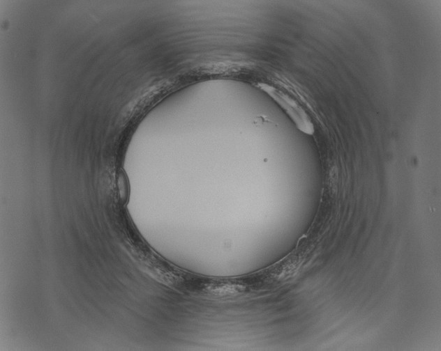 X0000073950407200609181406