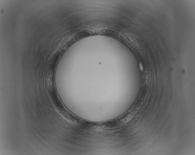 X0000073950408200609181406