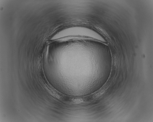 X0000073950409200609181406