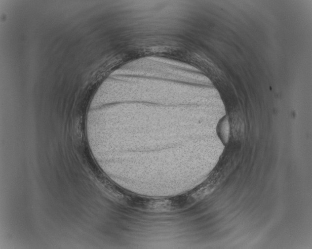 X0000073950410200609181406