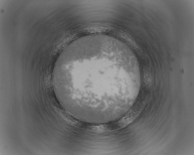 X0000073950411200609181406